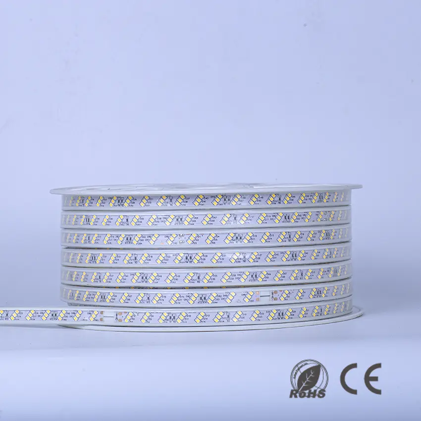 220V LED Rope lights