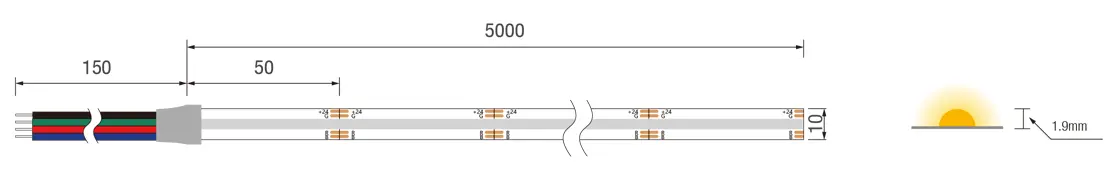 10007 size