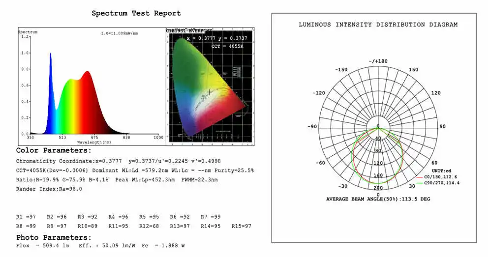 1010(1) Test report