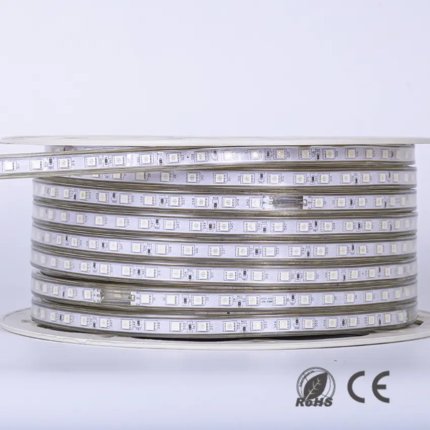 220V LED RGB Strip light