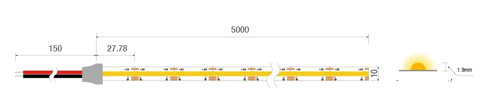 COB CCT Size size