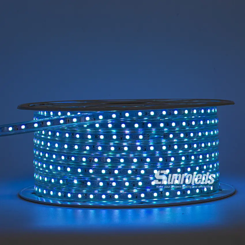 220V LED RGB Light