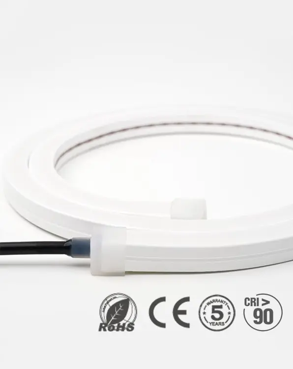 LED Neon Strip lights