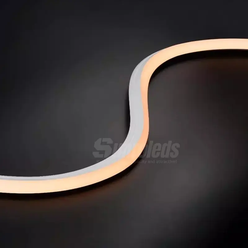 3D Neon Rope Lights