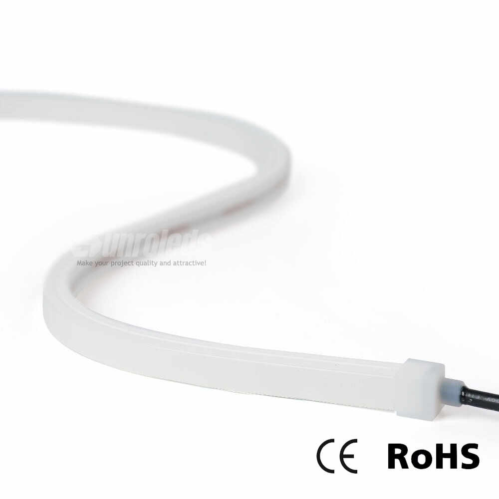 LED Neon Strips